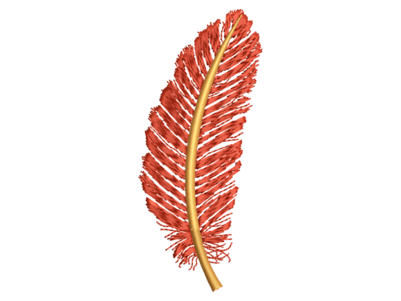 Red Decorative Feather Embroidery: A Business Review